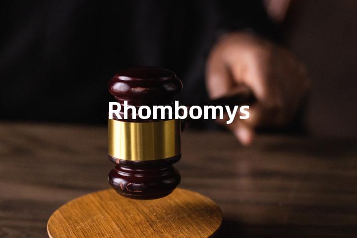 Rhombomys单词图解，单词释义场景配图