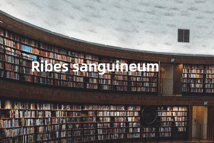 Ribes sanguineum单词图解，单词释义场景配图
