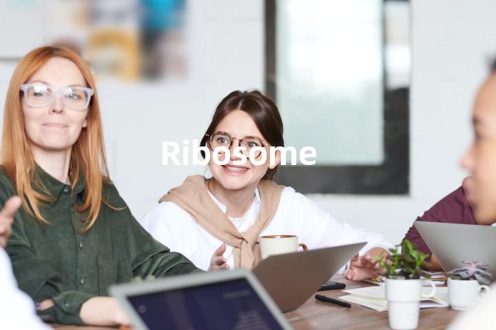 Ribosome