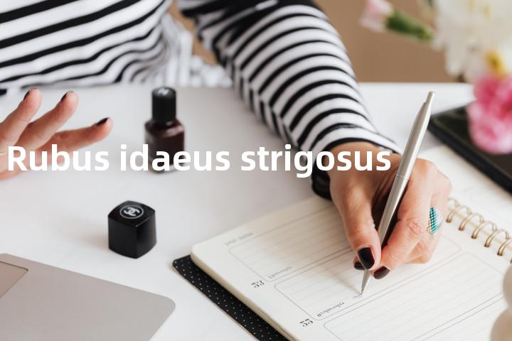 Rubus idaeus strigosus单词图解，单词释义场景配图