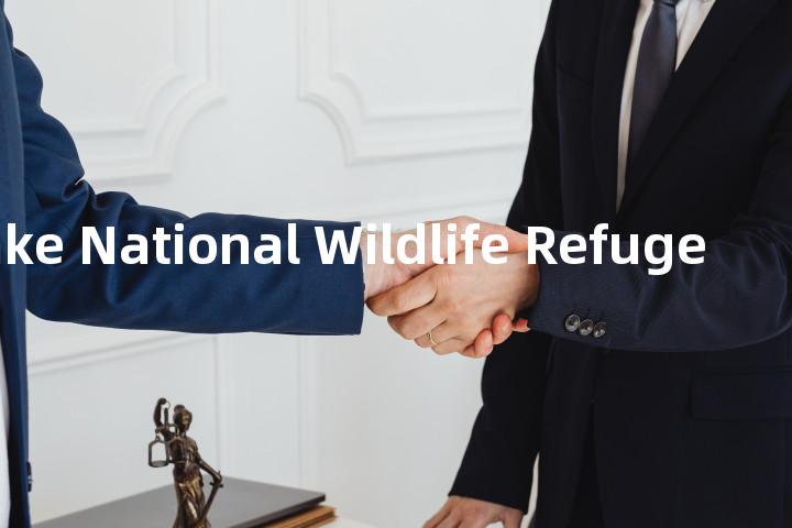 Ruby Lake National Wildlife Refuge单词图解，单词释义场景配图