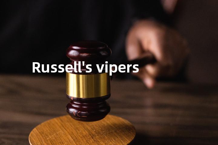 Russell's vipers单词图解，单词释义场景配图