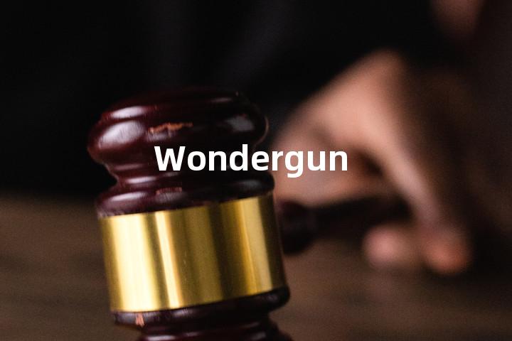 Wondergun单词图解，单词释义场景配图