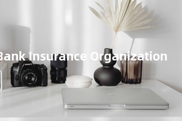 World Bank Insurance Organization单词图解，单词释义场景配图