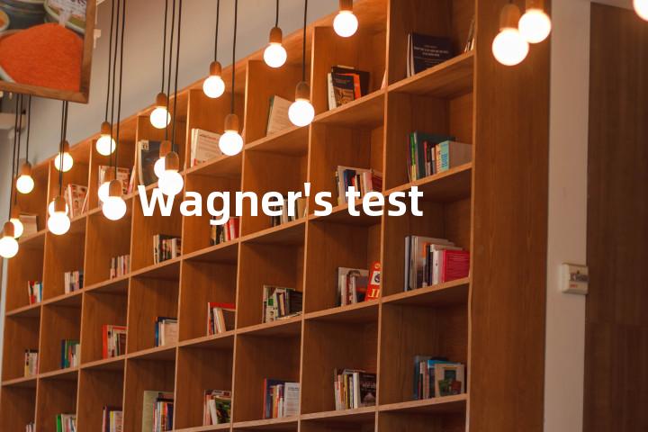 Wagner's test单词图解，单词释义场景配图