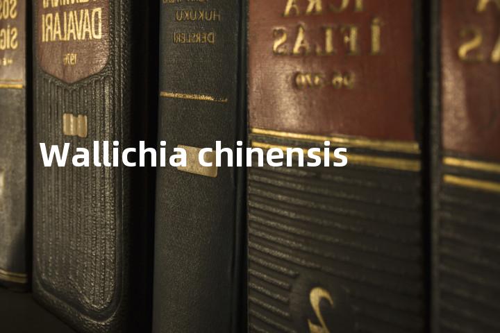 Wallichia chinensis单词图解，单词释义场景配图