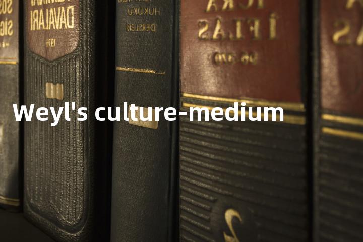Weyl's culture-medium单词图解，单词释义场景配图