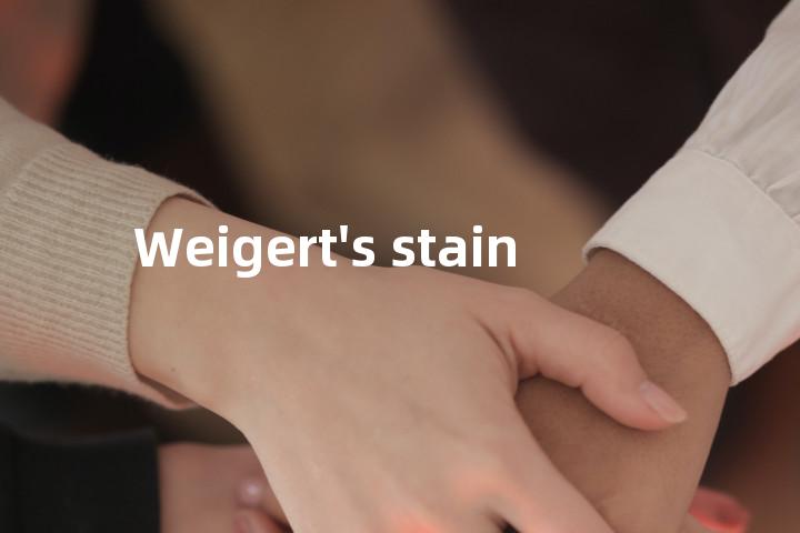 Weigert's stain单词图解，单词释义场景配图