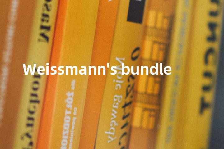 Weissmann's bundle单词图解，单词释义场景配图