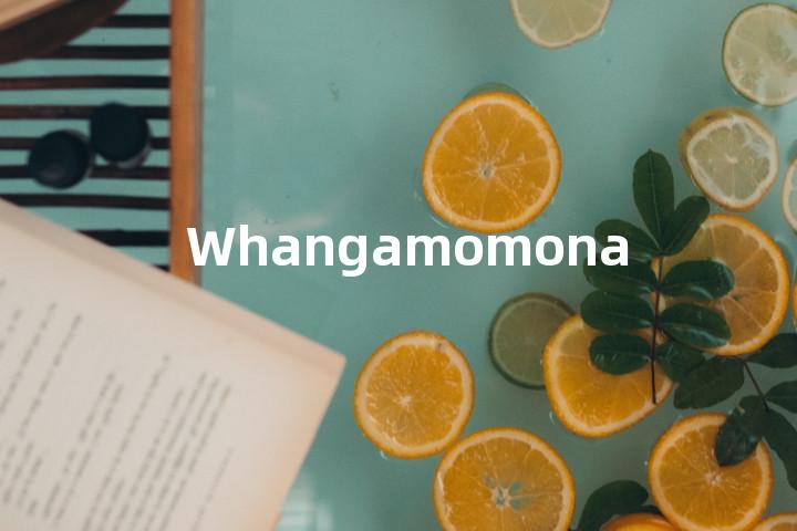Whangamomona单词图解，单词释义场景配图