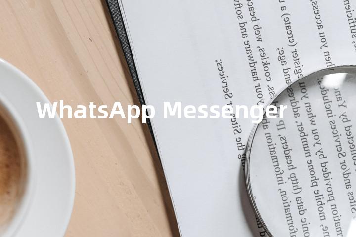 WhatsApp Messenger单词图解，单词释义场景配图