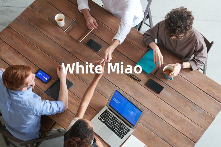 White Miao单词图解，单词释义场景配图
