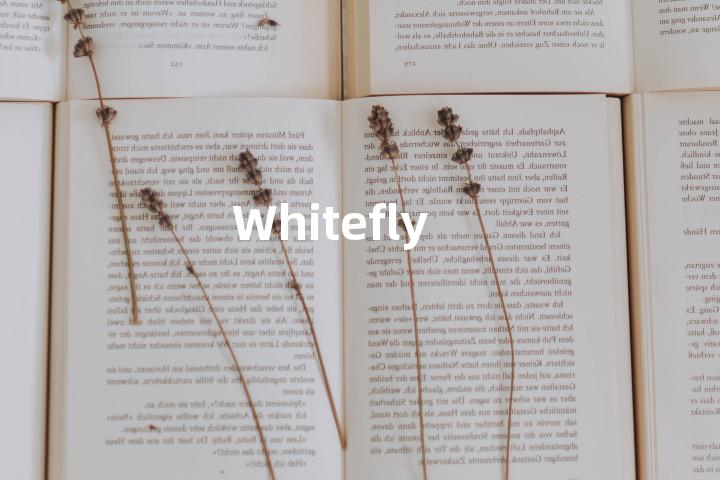 Whitefly