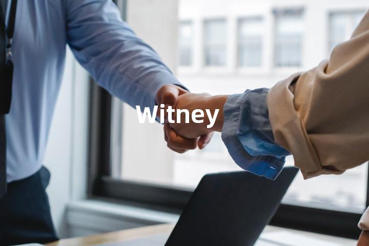 Witney单词图解，单词释义场景配图