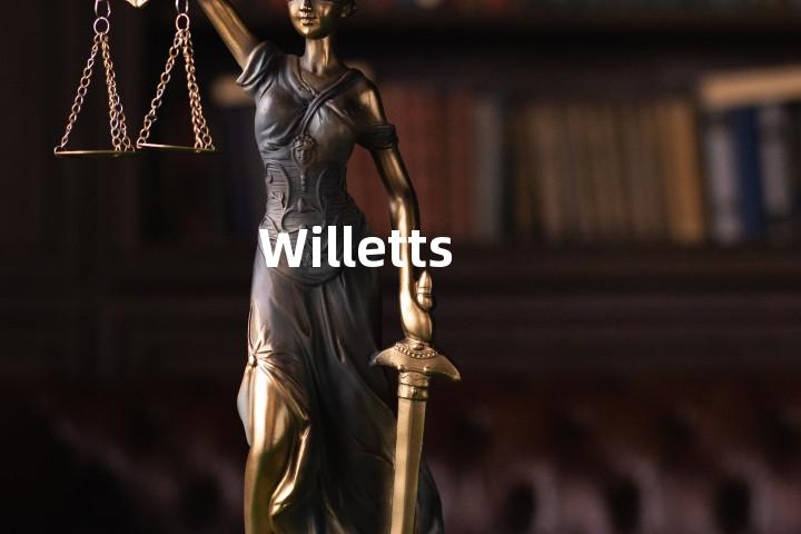 Willetts单词图解，单词释义场景配图