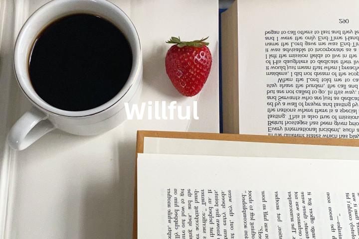 Willful