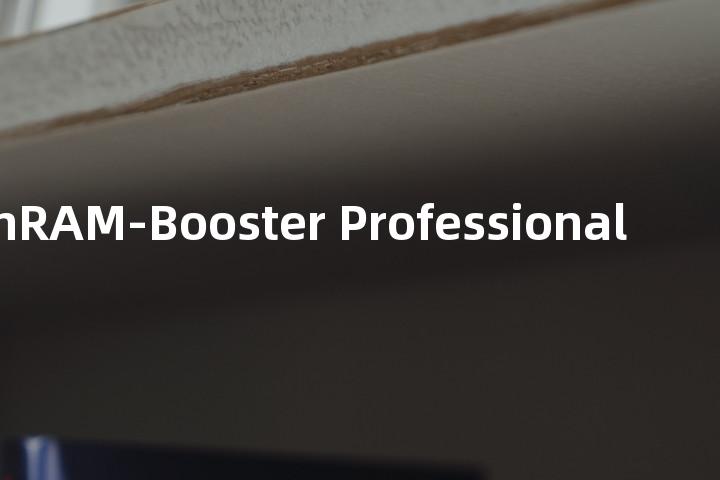 WinRAM-Booster Professional单词图解，单词释义场景配图