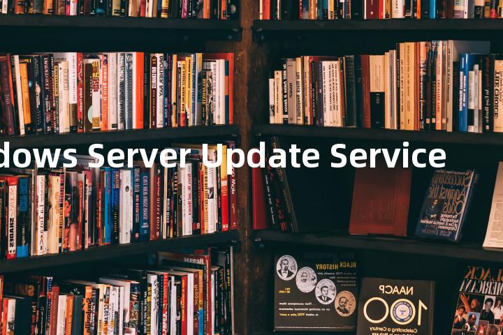 Windows Server Update Service单词图解，单词释义场景配图