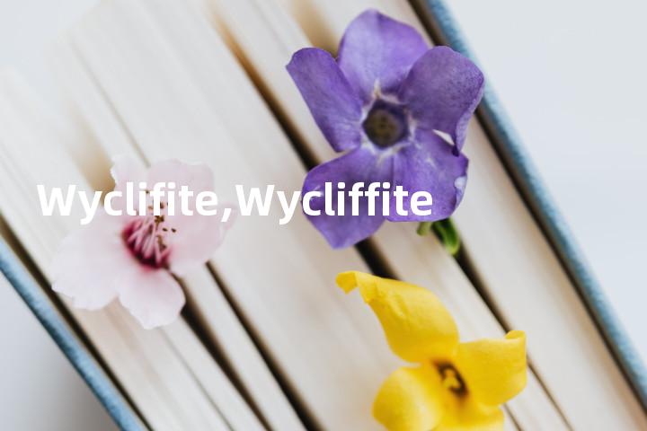 Wyclifite,Wycliffite单词图解，单词释义场景配图