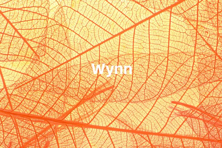 Wynn