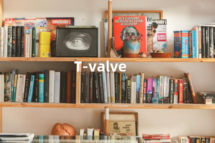 T-valve单词图解，单词释义场景配图