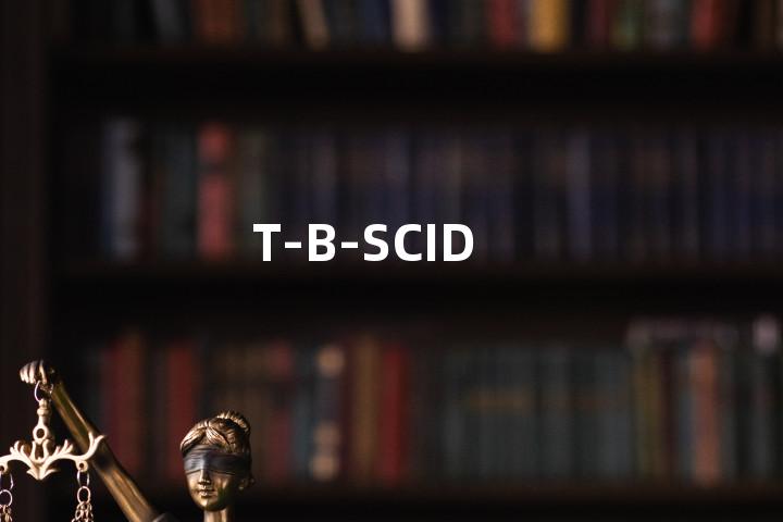 T-B-SCID单词图解，单词释义场景配图