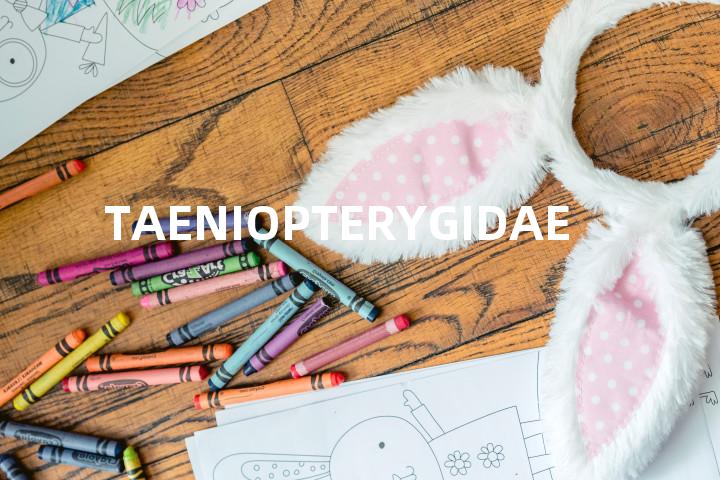 TAENIOPTERYGIDAE单词图解，单词释义场景配图