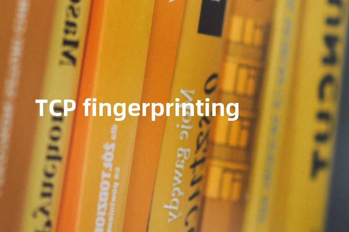 TCP fingerprinting单词图解，单词释义场景配图