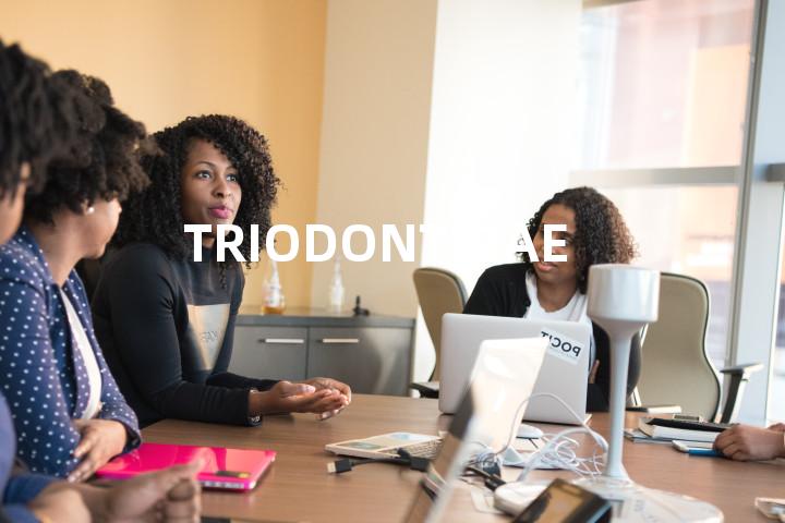 TRIODONTIDAE单词图解，单词释义场景配图