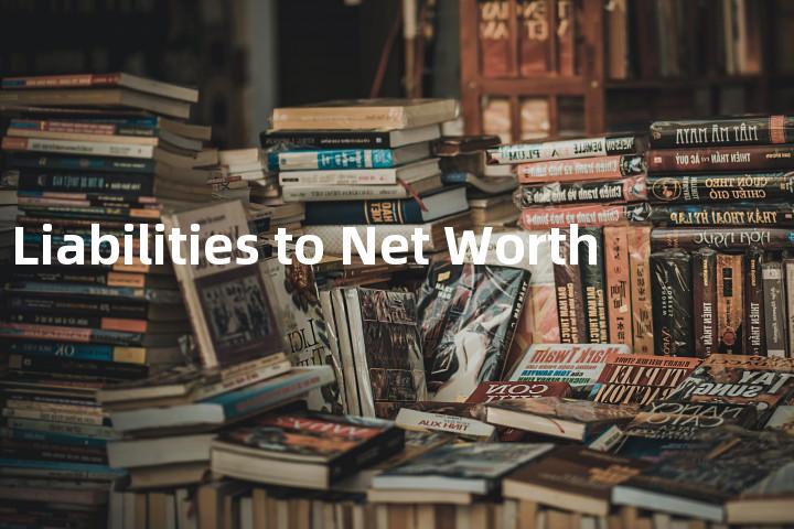 Total Liabilities to Net Worth单词图解，单词释义场景配图