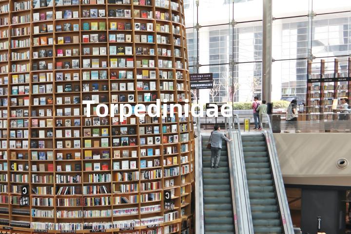 Torpedinidae单词图解，单词释义场景配图