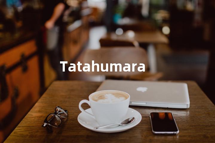 Tatahumara单词图解，单词释义场景配图