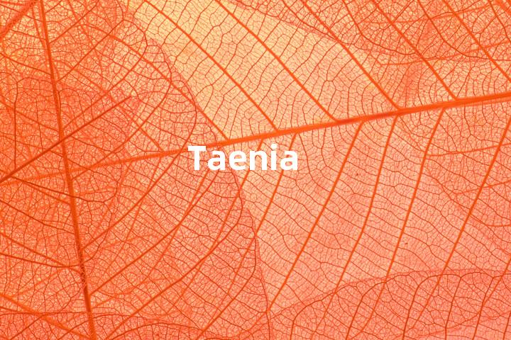 Taenia