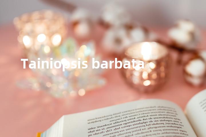 Tainiopsis barbata单词图解，单词释义场景配图