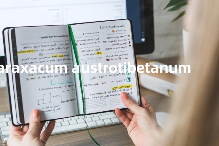 Taraxacum austrotibetanum单词图解，单词释义场景配图