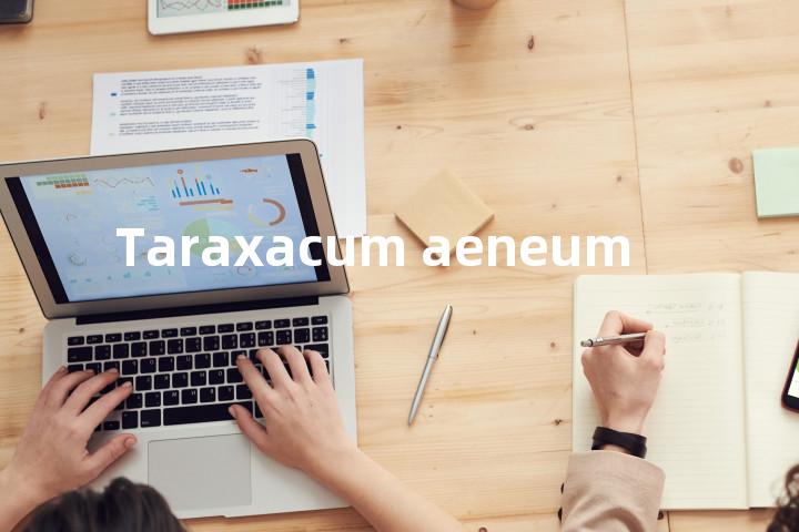 Taraxacum aeneum单词图解，单词释义场景配图