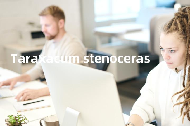 Taraxacum stenoceras单词图解，单词释义场景配图