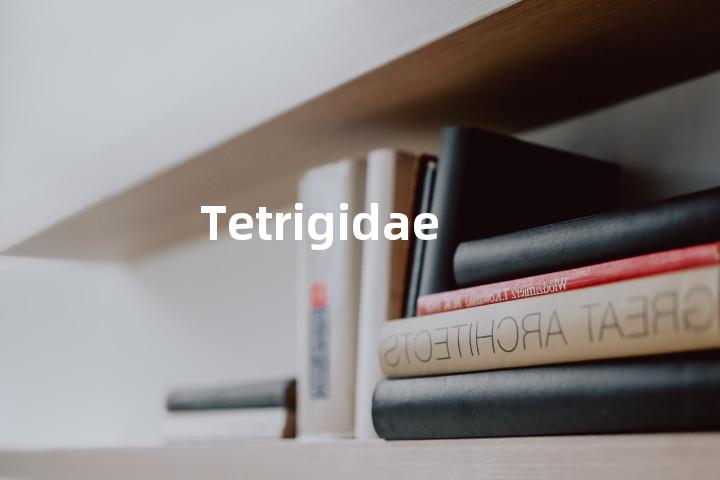 Tetrigidae单词图解，单词释义场景配图