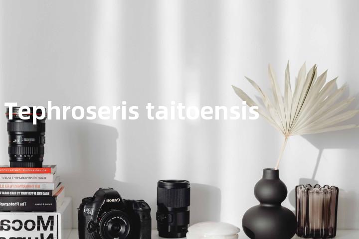 Tephroseris taitoensis单词图解，单词释义场景配图