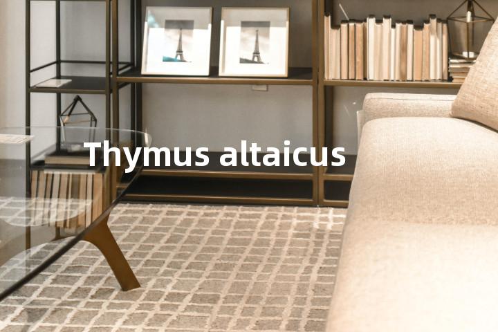 Thymus altaicus单词图解，单词释义场景配图