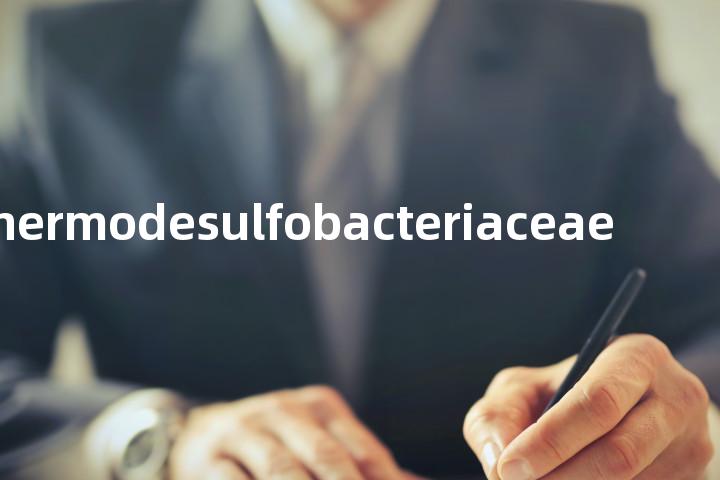 Thermodesulfobacteriaceae单词图解，单词释义场景配图