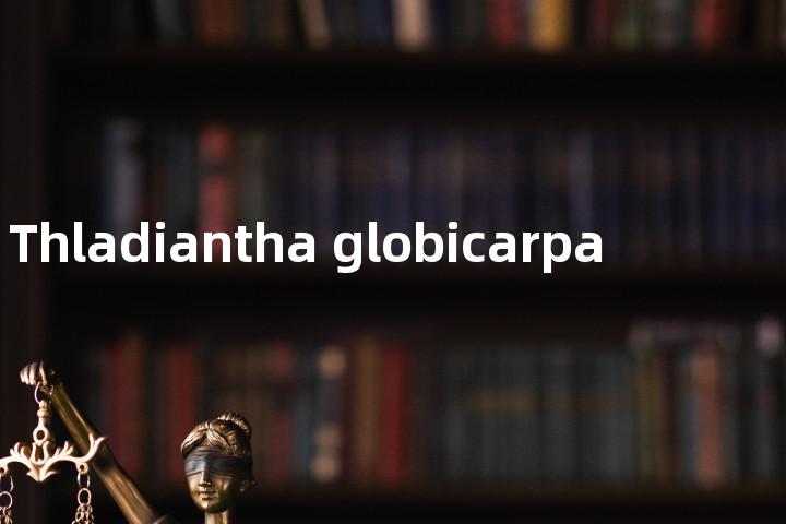 Thladiantha globicarpa单词图解，单词释义场景配图