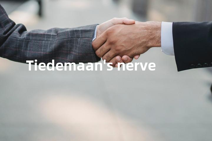 Tiedemaan's nerve单词图解，单词释义场景配图