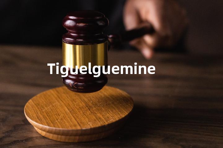 Tiguelguemine单词图解，单词释义场景配图