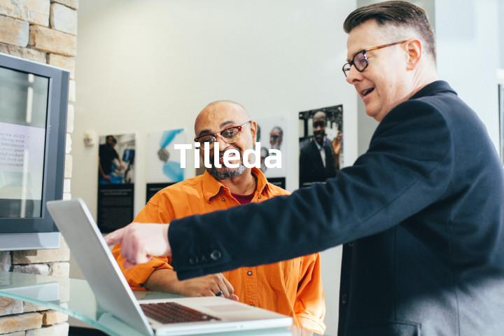 Tilleda单词图解，单词释义场景配图