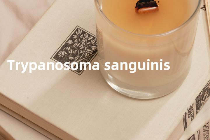 Trypanosoma sanguinis单词图解，单词释义场景配图