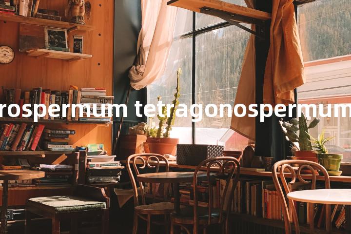 Tripleurospermum tetragonospermum单词图解，单词释义场景配图