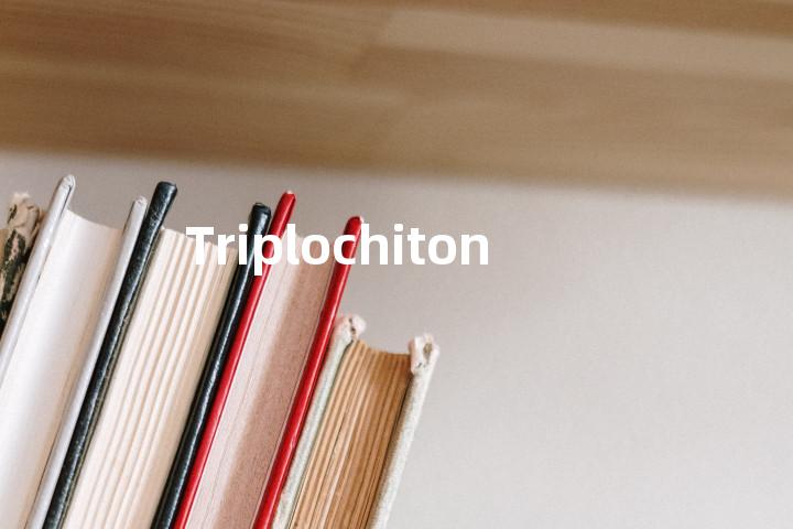 Triplochiton单词图解，单词释义场景配图