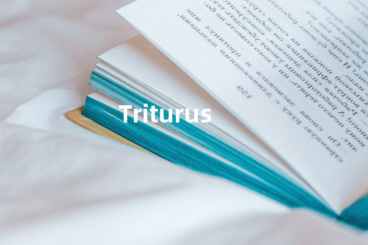 Triturus单词图解，单词释义场景配图