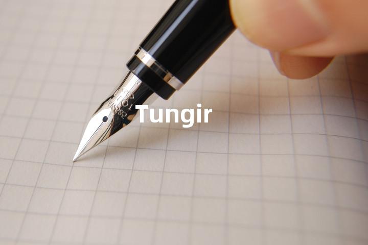 Tungir单词图解，单词释义场景配图